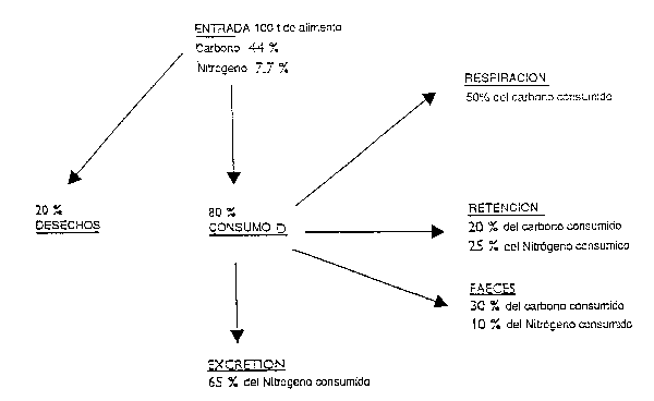 Figura 6