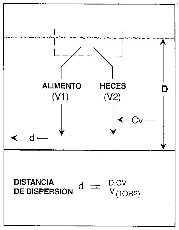 Figura 12