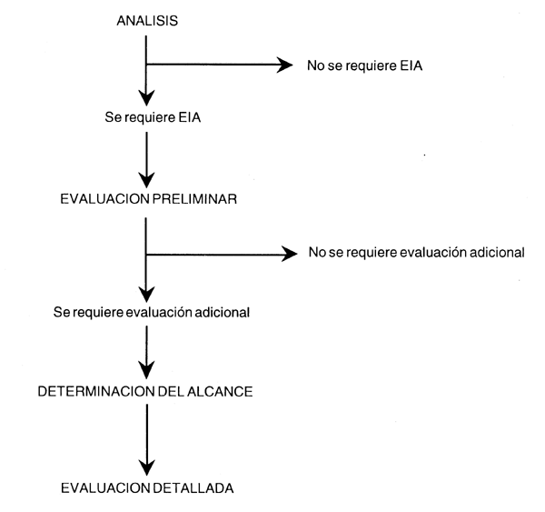 Figura 15