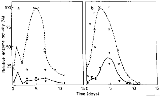 Figure 6: Comparison of Enzyme Activities involved in the Biosynthesis of Cinnamoyl Putrescines in TX1 (filled symbols) and TX4 (open symbols) of N. tabacum