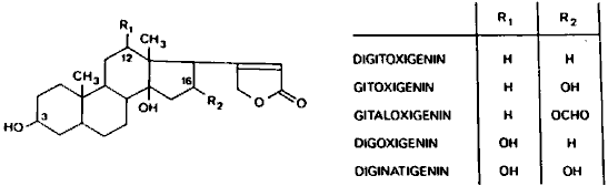 Figure 7: Principal Cardioactive Glycosides of Digitalis species: Chemical Structures