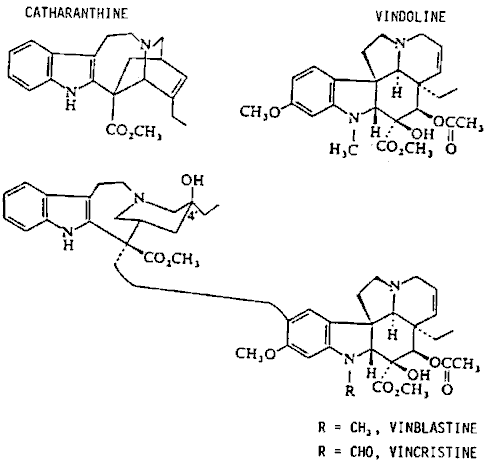 Figure 8: Chemical Structures of Catharanthine, Vindoline, Vinblastine and  Vincristine 