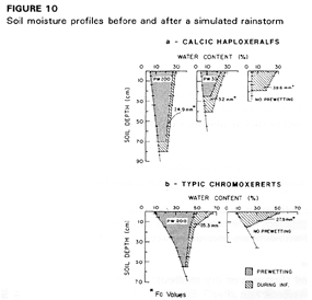 fig10.gif (19430
    bytes)