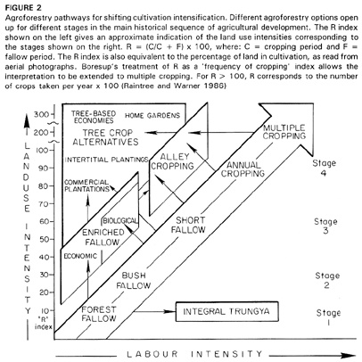 fig2.gif (53562


    bytes)