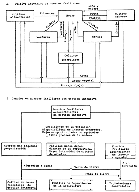 FIGURA 4.1