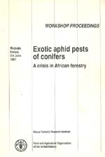 Exotic aphid pest of conifers