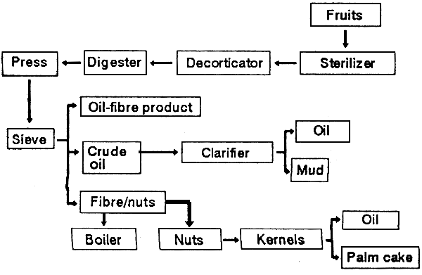 Figure 4.4.