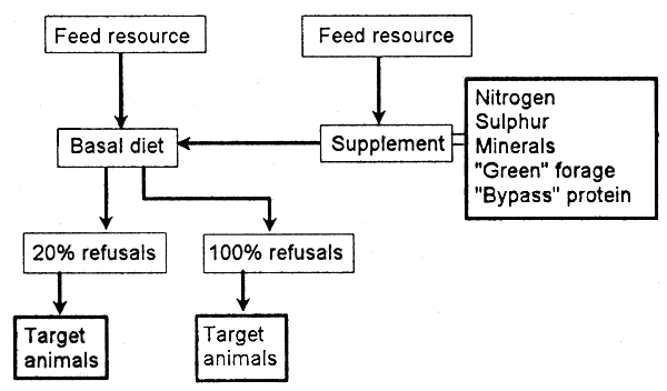 Figure 12.2.