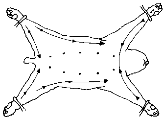 Figure 4.3 Shearing angora rabbits