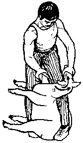 Figure 4.5 Blade shearing