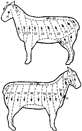 Figure 4.5 Blade shearing