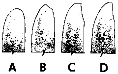 Figure 6.10 Common Faults