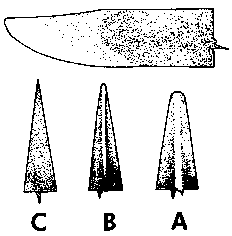 Figure 6.11 Thinning the teeth