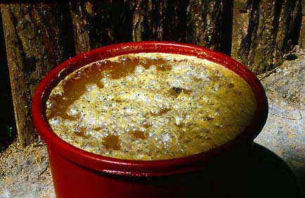 Honey beer fermentation can be so rapid that the broth appears to be boiling.