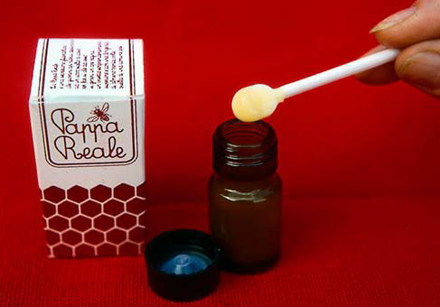 Dark glass bottle with fresh royal jelly and miniature spatula for oral administration (human consumption).