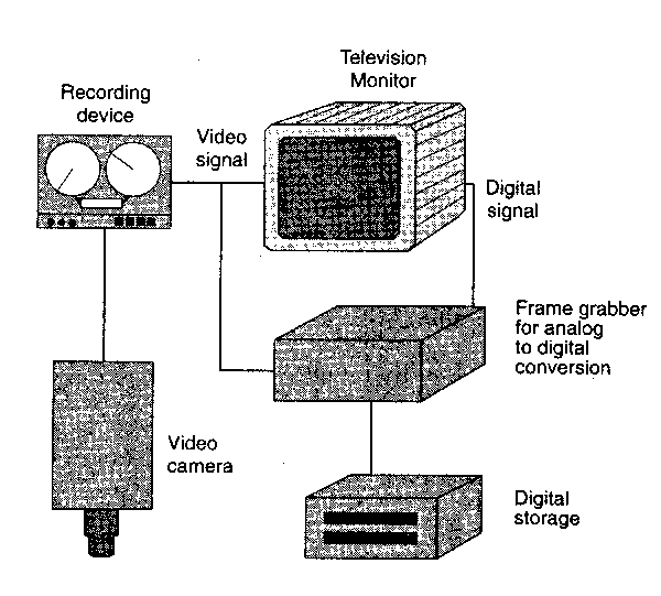 Figure 2.29