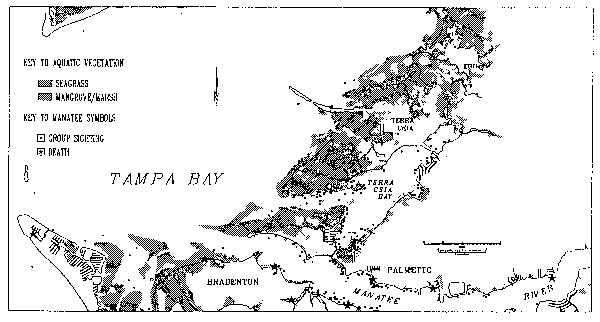 Figure 3.1