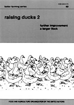 RAISING DUCKS 2 - further improvement, a larger flock