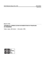 Report of the
TECHNICAL CONSULTATION ON REDUCTION OF WASTAGE IN FISHERIES
Tokyo, Japan, 28 October - 1 November 1996