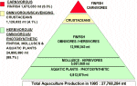 Figure 2.4.1.Aquaculture production
pyramid by major species class and feeding habit in 1995 (pyramid excludes 66,676 mt
of miscellaneous aquatic animals; from A. Tacon, pers.com.)
