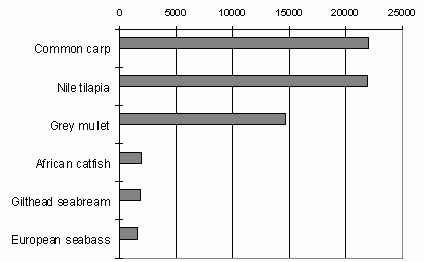 Figure 3.6.1.3. Production of main cultured species in North Africa, 1995 (mt)