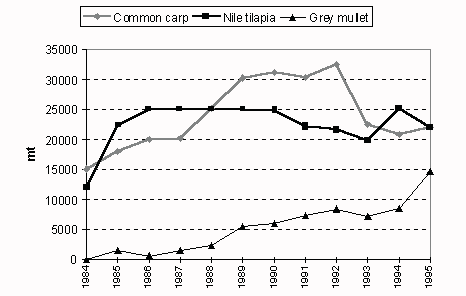 Figure 3.6.1.4a. Trends in production of main cultured species in North Africa