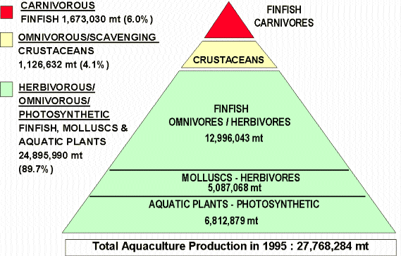 Figure 2.4.1. Aquaculture production pyramid by major species class and
feeding habit in 1995 (pyramid excludes 66,676 mt of miscellaneous
aquatic animals; from A. Tacon, pers.com)