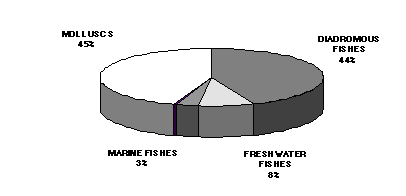 Figure 3.2.3. Relative proportion of main cultured species groups in Europe (1995)