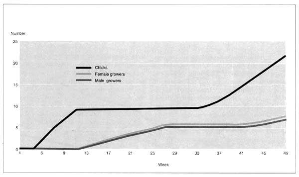 FIGURE 18