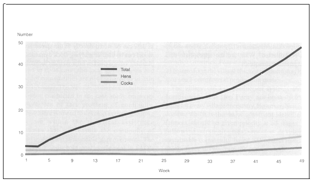 FIGURE 19