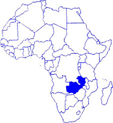 afric1.jpg (35780 byte)