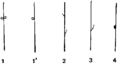 Neatness defects (1) (1') Loop (2) Hairiness (3) Split-ends (4) Nibs