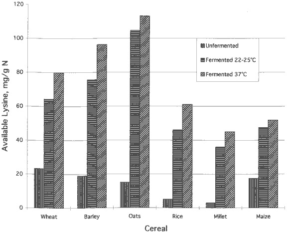 Influence of natural fermentation of cereals on available lysine.