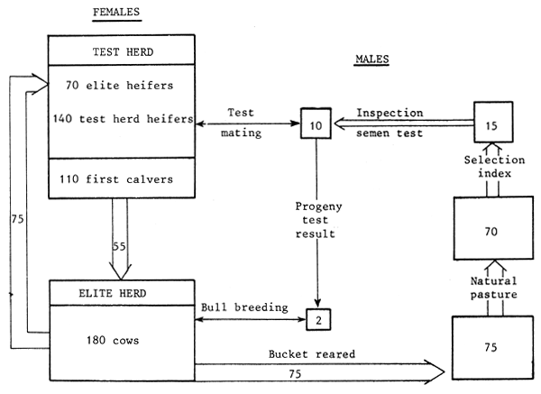 Figure 4.1