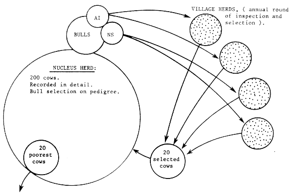 Figure 4.2