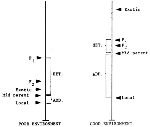 Figure 6.4