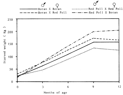 Figure 6.6