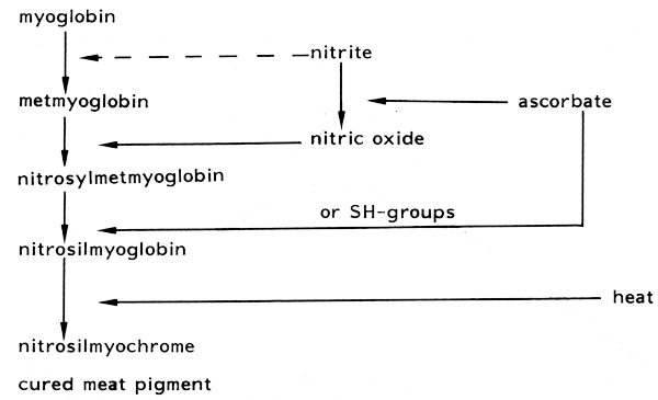 Fig 18