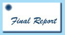 Final Report