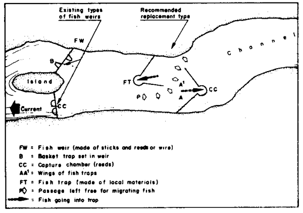 Fig.2