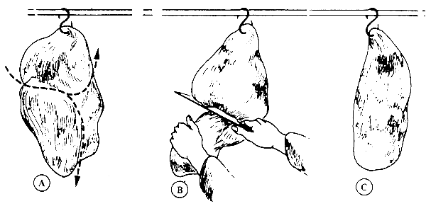 FIG 8