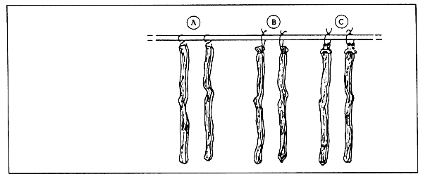 FIG 14