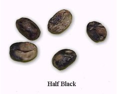 Half Black