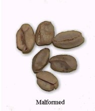 Malformed