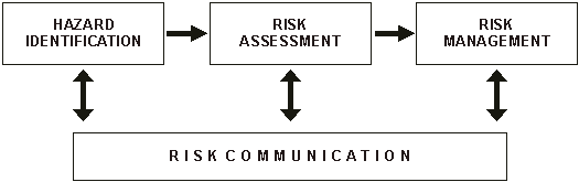 Figure 1: The four components of risk analysis