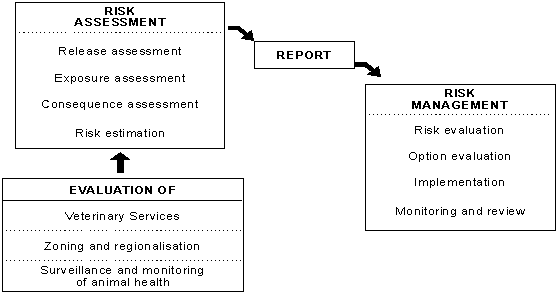 Figure 2:  The relationship between risk assessment and risk management processes