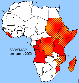 Afrique