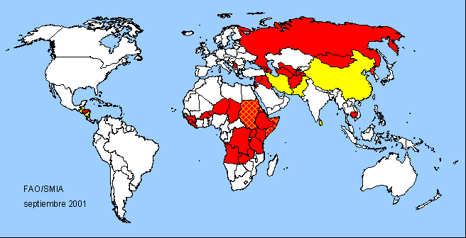 World Map