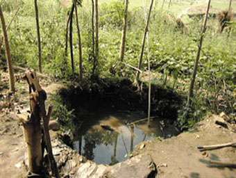  An example of the pit used to grow catfish