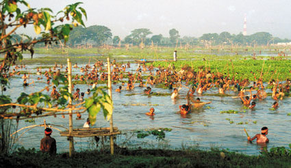 People from Tangail district in Bangladesh, making use of the receding flood to catch some fish (1998).